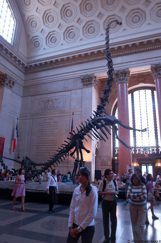 NEW YORK CITY - Dinosauri nella galleria della vecchia ala del Museo Americano di Storia Naturale
