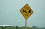 OHIO. Amish Country - fate attenzione alla guida e procedete a bassa velocità