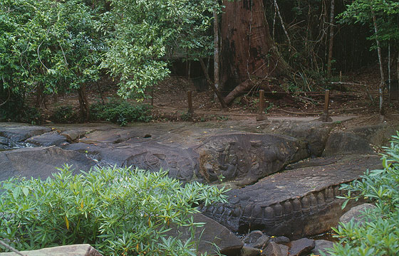 ANGKOR - Kbal Spean - le pareti di roccia scolpite nella zona del ponte di pietra naturale con centinaia di linga nel letto del fiume e sculture di animali 
