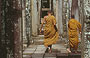 ANGKOR. Monaci buddhisti al Ta Prohm
