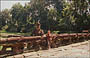 ANGKOR. Preah Khan - porta ovest: il percorso del corteo processionale con pareti decorate con la rappresentazione dell'Oceano di Latte  