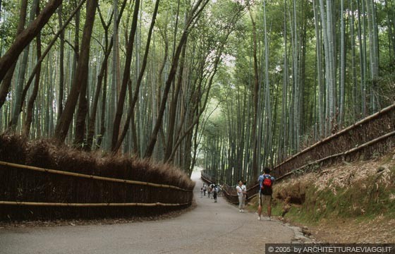 KYOTO - ARASHIYAMA  - Percorriamo a piedi questo delizioso boschetto di bambù proprio dietro il TENRYU-JI TEMPLE