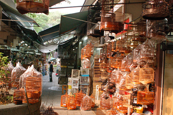 KOWLOON - I mercati di Mong Kok: Giardino degli Uccelli in Yuen Po Street