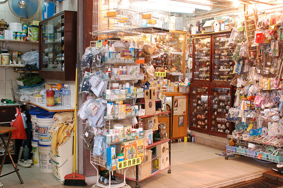 MONG KOK - Al Mercato degli Uccelli si può acquistare ogni genere di merce per i volatili: gabbie, delicate e svariate ciotoline di ceramica, semi e cibo per gli uccelli