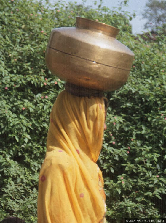 RAJASTHAN MERIDIONALE - Le campagne tra Udaipur e Kumbhalgarh: donne al lavoro trasportano sulla testa ceste e stoviglie indossando i colorati sari