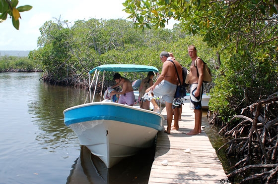 PARCO NAZIONALE MORROCOY - Il piccolo molo di Playuela in un canale circondato da mangrovie - si riparte!