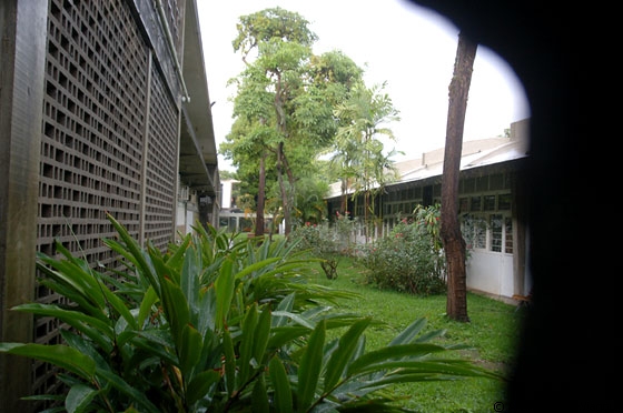 UCV CARACAS - Dai trafori dell'atrio della Facultad de Humanidades y Educacìon sbirciamo nel patio interno ricco di piante che completano l'ambiente