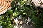 GRAN ROQUE. Posada Acuarela - dalla terrazza sul tetto vista sul patio sottostante, allestito con ricca vegetazione