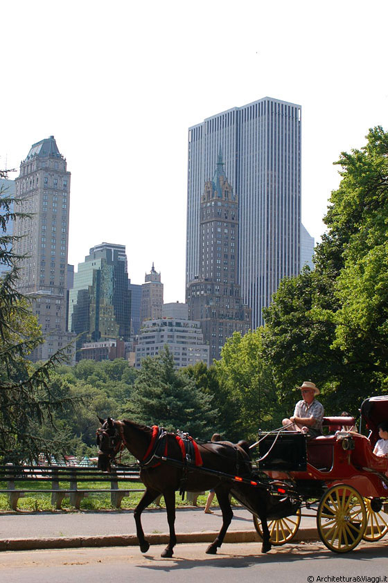 MANHATTAN - In carrozza per Central Park 
