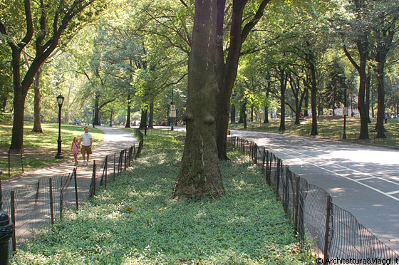 MANHATTAN - Le più importanti innovazioni nel progetto per Central Park furono le vie di circolazione separate per pedoni, cavalli e carrozze