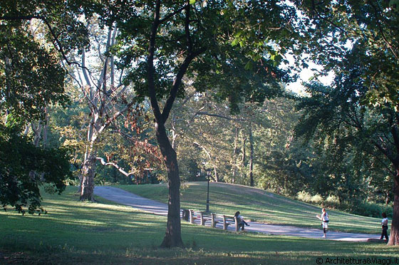 NYC - CENTRAL PARK - Collinette e rilievi artificiali, uniti ad un grande numero di alberi e prati, rendono questo parco naturale e piacevole