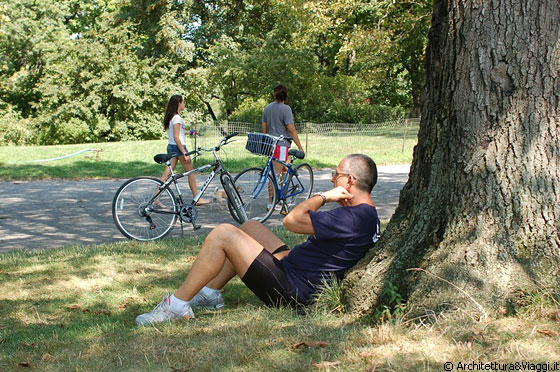 CENTRAL PARK  - Francesco si rilassa all'ombra di un albero nei pressi della Riserva