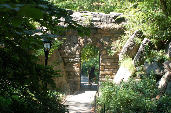 CENTRAL PARK - Ramble, una lussureggiante area verde frequentata dagli appassionati di birdwatching, con il suo caratteristico ponte in pietra grezza