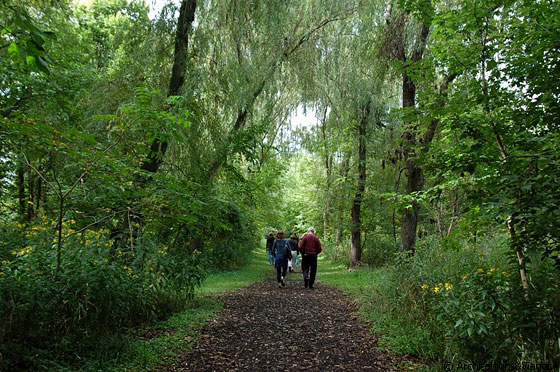 PLANO - ILLINOIS - Camminiamo attraverso il parco boschivo che dal centro visitatori conduce a casa Farnsworth  