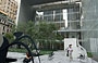 NYC - MoMA. Le facciate minimaliste e trasparenti di Taniguchi, che fanno da cornice al Giardino delle Sculture, permettono ai visitatori di percepire il rapporto tra lo spazio interno ed esterno
