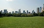 NEW YORK CITY. Lo skyline di Manhattan svetta sul grande Prato delle Pecore in Central Park South