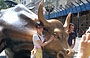 FINANCIAL DISTRICT. Charging Bull, opera bronzea di Arturo Di Modica, un'icona di Wall Street - angolo tra Broadway e State St (Bowling Green)