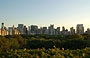 UPPER EAST SIDE. Vista su Central Park dal roof garden, su cui durante i fine settimana estivi apre un wine bar
