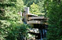 FALLINGWATER. La celebre Casa sulla Cascata, capolavoro dell'architettura moderna, è divenuta sinonimo di equilibrio tra architettura e natura