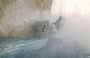 NIAGARA FALLS. Un gabbiano si libra in volo tra il vapor acqueo delle cascate