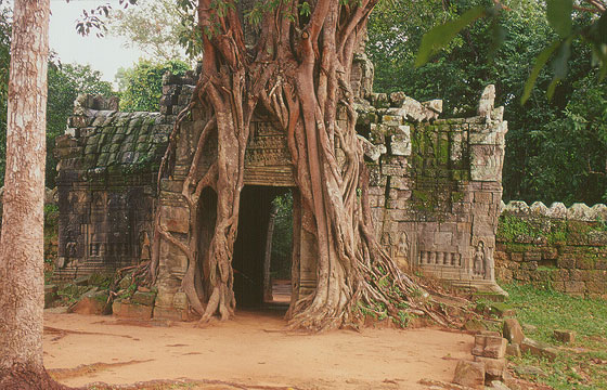 ANGKOR - Ta Som - l'albero gigantesco si è impossessato del gopura orientale