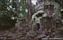 ANGKOR. Ta Prohm - le pesanti pietre del tempio cadute a causa dell'abnorme sviluppo delle gigantesche radici 