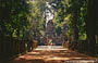 ANGKOR. Preah Khan - la bellissima luce di fine mattina che filtra tra la vegetazione ed esalta i colori delle pietre - porta ovest