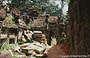 ANGKOR. Preah Khan - i padiglioni e le gallerie ricoperte di muschi e licheni