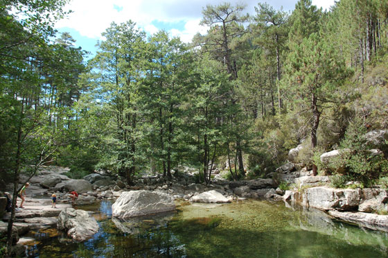 CASCATE D'AITONE - Un vero paradiso di acqua cristallina e pura in mezzo alla foresta omonima