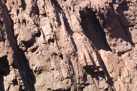 RISERVA NATURALE DI SCANDOLA - Zoom su una roccia