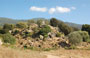 LA COSTA DEL SUD-OVEST. Il monumento ovest di Filitosa aveva forse funzioni di postazione difensiva
