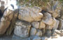 FILITOSA. Un tuffo nella preistoria dell'isola tra statue-menhir e strutture megalitiche