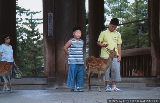 NARA - Bambini giapponesi posano con i cervi davanti al Nandai-mon