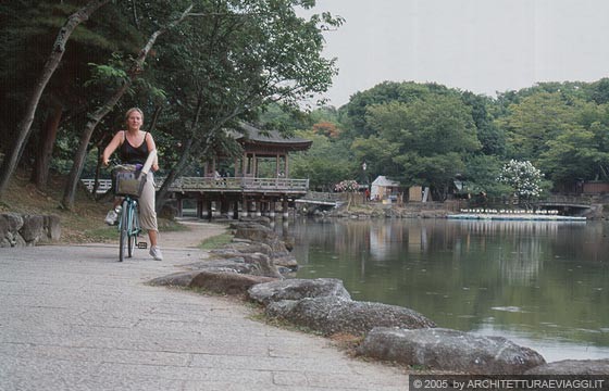NARA - Con la bicicletta girovaghiamo intorno al laghetto Sagi-ike e nel Nara-koen