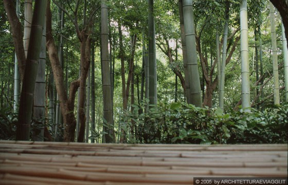 KYOTO - ARASHIYAMA - OKOCHI SANCHO - dalla sala da tè ci godiamo il sottostante boschetto di bambù