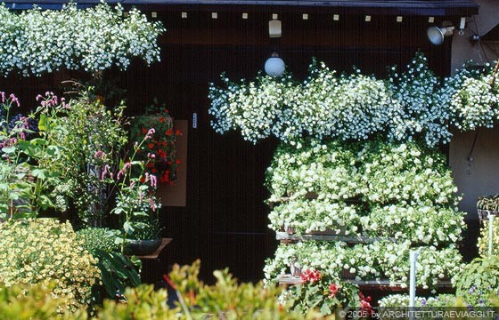 DISTRETTO DI HIDA - Particolare della facciata ornata di vasi fioriti della Murasaki Ryokan a Takayama 