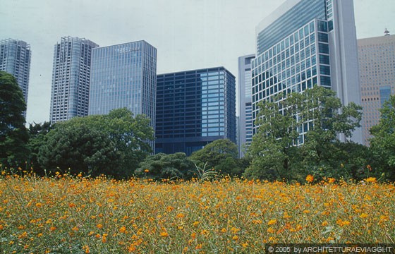 TOKYO GINZA - Dai campi fioriti dei Giardini di Palazzo Hama spiccano sullo sfondo i grattacieli di Shiodome