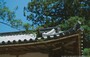 NARA. Tamukeyama Hachimangu Shrine: particolare della copertura con le caratteristiche tegole