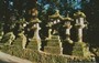 NARA. Kasuga Taisha - le lanterne in pietra dei percorsi di accesso al santuario