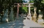 NARA. Kasuga Taisha - il torii che da accesso al santuario 
