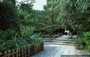 KYOTO NORD-OVEST. Il giardino secco è solo una piccola parte del grande giardino del RYOANJI TEMPLE 