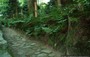 KYOTO NORD-OVEST. Passeggiando nei giardini del RYOANJI TEMPLE