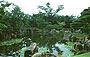 KYOTO CENTRO. CASTELLO NIJO-JO, periodo Momoyama, giardino di passaggio con lago