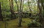 KYOTO - ARASHIYAMA. OKOCHI SANCHO - il giardino e la villa