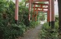 ITINERARIO ARASHIYAMA-SAGANO. Torii, torii, torii