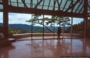 SHIGARAKI, SHIGA. MIHO MUSEUM - La grande parete vetrata con il grande albero e sullo sfondo il paesaggio - I.M. Pei