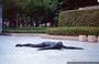 NAGOYA. Una scultura nel giardino circostante del Museo di Arte Moderna di Nagoya