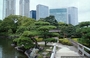 TOKYO GINZA. Giardini di Palazzo Hama e sullo sfondo i grattacieli di Shiodome: la metropoli contemporanea e i rilassanti giardini giapponesi tra vegetazione, ponticelli in legno e pietre