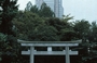 TOKYO. Shinjuku Chuo koen: i due volti di Tokyo, il torii e il grattacielo moderno rappresentato dalle alte torri digradanti del Shinjuku Park Tower 
