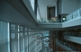 TOKYO ODAIBA. Miraikan, Museo delle Scienze e delle Innovazioni Emergenti - il grande spazio vetrato